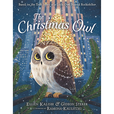 Shop The Christmas Owl Book