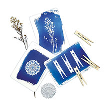 Product Image for Cyanotype Postcard Kit